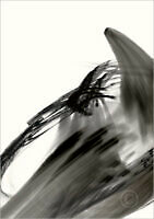 AsianBlack_37019_L | Rica Belna Artwork