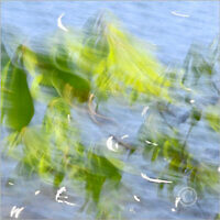 Dreamland_7N10548_M | Rica Belna Artwork