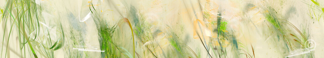 Jungel_23295_Pano_XL | Rica Belna Artwork