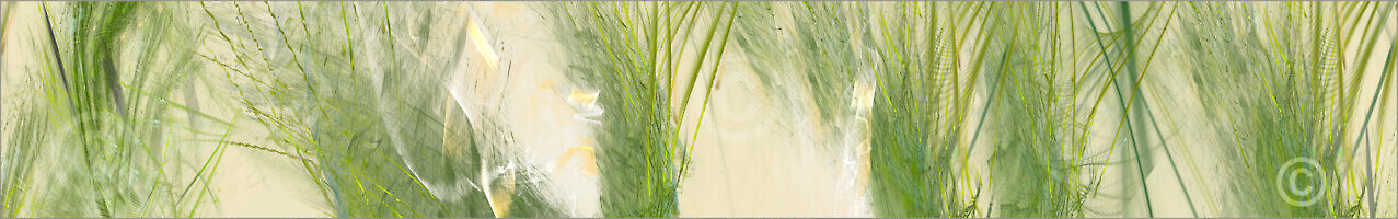 Jungle_22530_Z_Pano_XL | Rica Belna Artwork