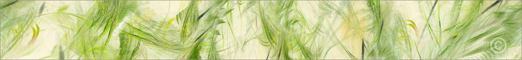 Jungle_22622_Z_Pano_XL | Rica Belna Artwork