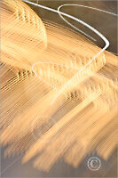 LightTrails_7N15983_M | Rica Belna Artwork