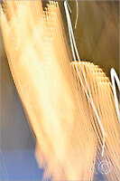 LightTrails_7N16001_M | Rica Belna Artwork