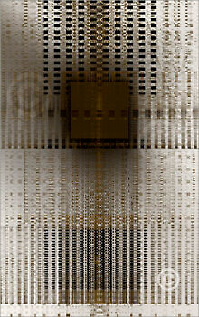 Minimal_50055_M