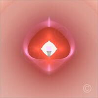 Nordic_F2_14085_M | Rica Belna Artwork