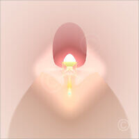 Nordic_F2_14199_M | Rica Belna Artwork