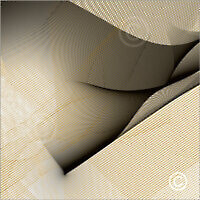 Reduction_F2_15034_M | Rica Belna Artwork