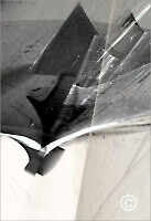 Shapes_F2_13532_M | Rica Belna Artwork