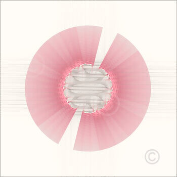 Solids_50217_M