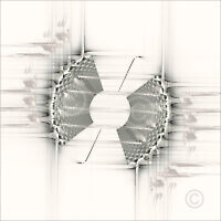Solids_50248_M | Rica Belna Artwork