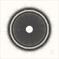 Solids_50321_M | Rica Belna Artwork