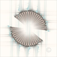 Solids_50371_M | Rica Belna Artwork