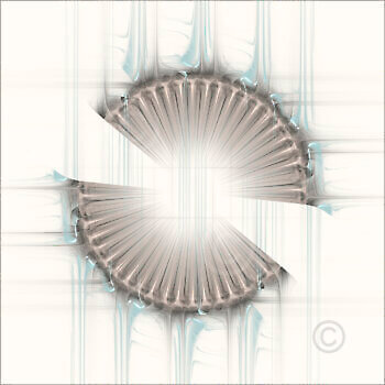 Solids_50371_M