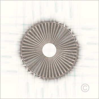 Solids_50381_M