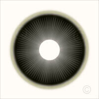 Solids_50467_M | Rica Belna Artwork