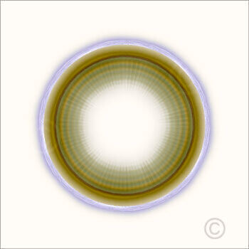 Solits_50534_M