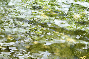 Water_7N7945_L | Rica Belna Artwork