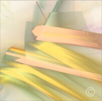 colorshapes_F2_15310_M | Rica Belna Artwork