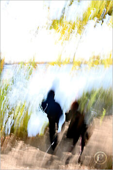 walking_7N17834_M